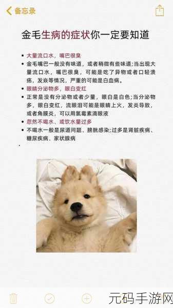 镜流口水流白色液体正常吗图片,宠物狗狗口腔护理小知识