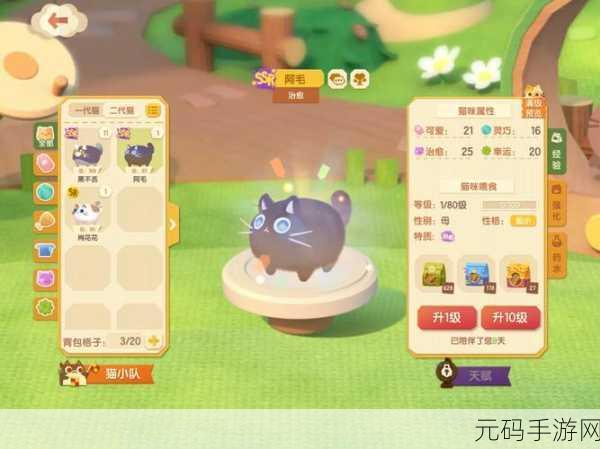 手游资讯，猫咪公寓2定制猫猫获取全攻略
