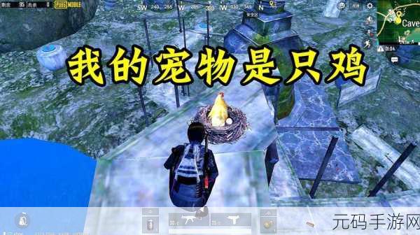 刺激战场宠物系统详解及获取攻略