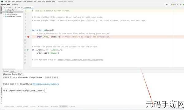 探秘,Pytorch 项目于 PyCharm 中的运行秘籍