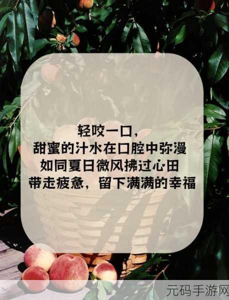 欧美蜜桃6,蜜桃大作战