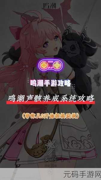 手游资讯，深入解析鸣潮中的声骸分解方法