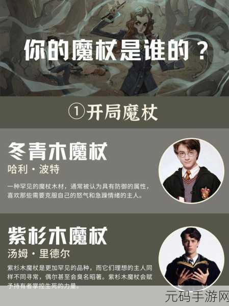 霍格沃茨之遗,魔杖选择指南与最强魔杖推荐
