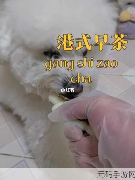 动物胶配方大全高清ABB,动物胶配方图鉴大师