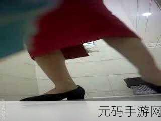 青娱乐论坛,青玩社区