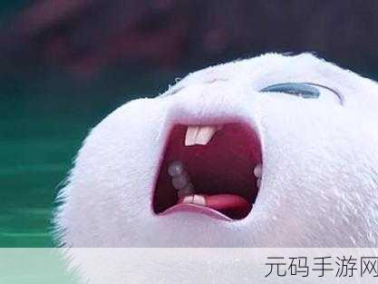 老师的大兔子在衬衫里抖来抖去,兔兔争霸:衣袖藏宠大作战