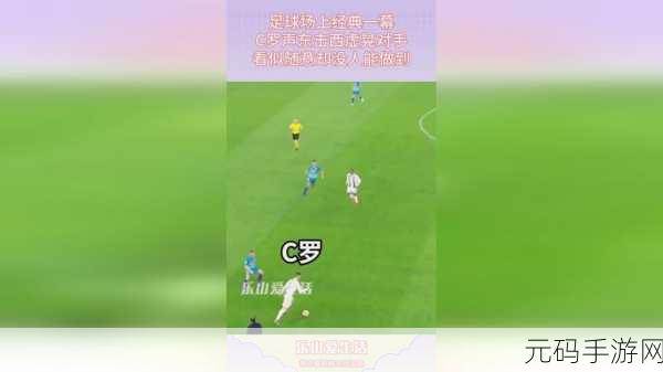 拔萝卜打牌不盖铺,萝卜大作战:欢乐对决