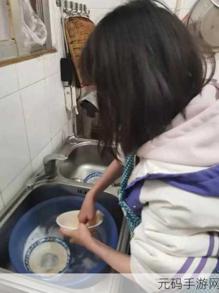 家庭抓灰,家务大作战