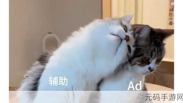 一个在上面添一个下面亲,甜蜜双排
