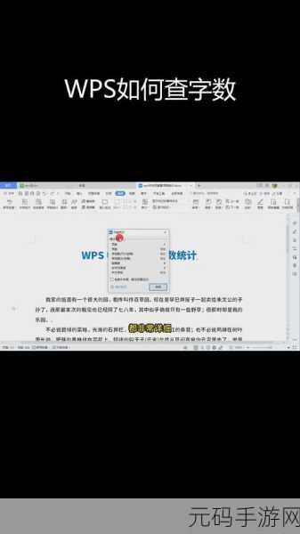 WPS 文档文字数字统计秘籍大公开