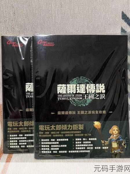 塞尔达传说,王国之泪私人住宅购买全攻略