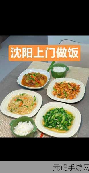 沈阳老阿姨叫的巅峰,巅峰美味·沈阳老阿姨