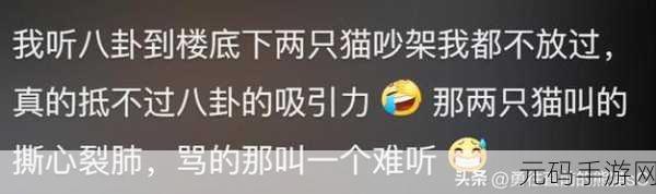 www.51吃瓜,吃瓜八卦社