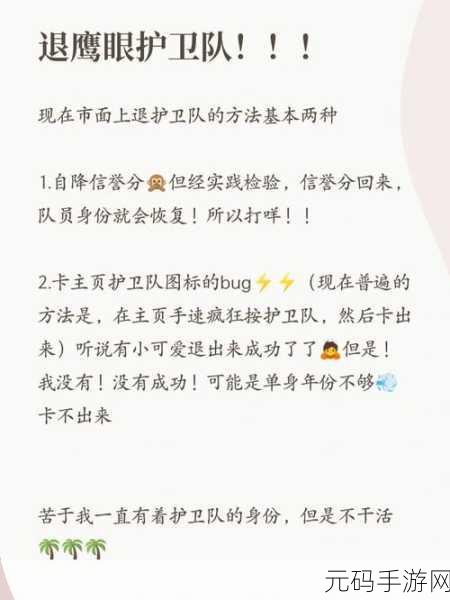 王者荣耀,鹰眼护卫队资格取消与回收机制详解
