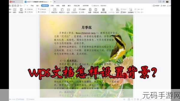 WPS 表格背景图片设置秘籍大公开