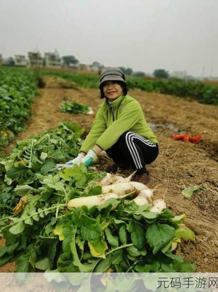 男女床上拔萝卜,欢乐拔萝卜大作战