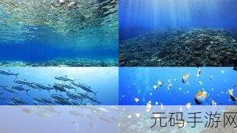 以海底之光发光体收集技巧深度解析,助你闪耀海底世界