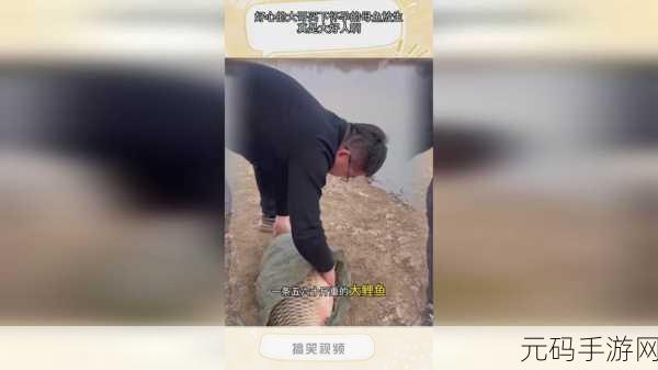拔萝卜不盖被子,萝卜农场大作战