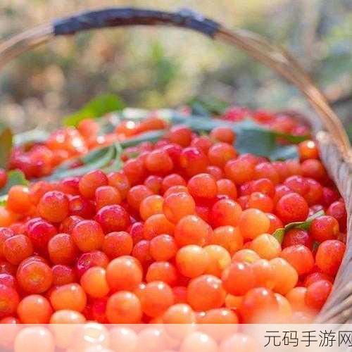 樱桃小视频 在线,樱桃短视频 - 精彩随心看