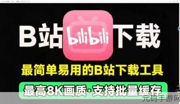 b站免费，免费下载 ｜ 无需充值