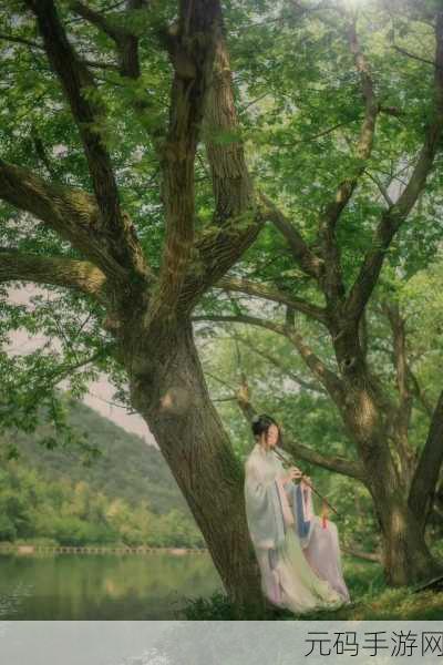 chihese露脸老女人,古风仙侠修炼者