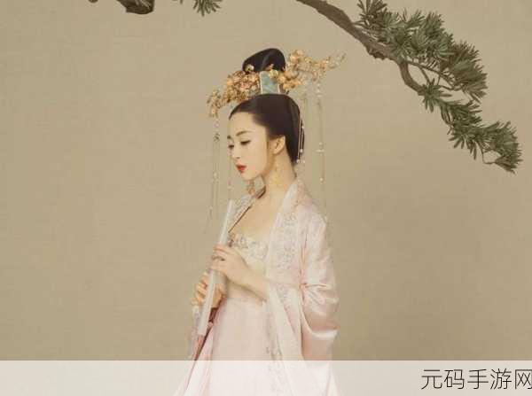 chihese露脸老女人,古风仙侠修炼者