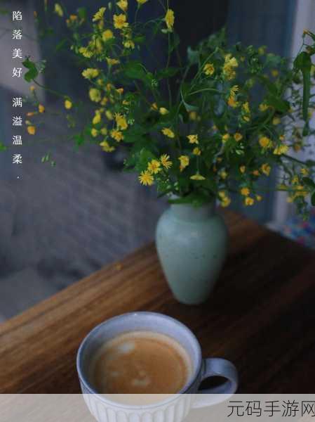野花社区视频,花间时光