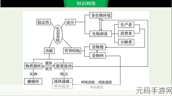 深度剖析,Omi 框架生态系统的奥秘