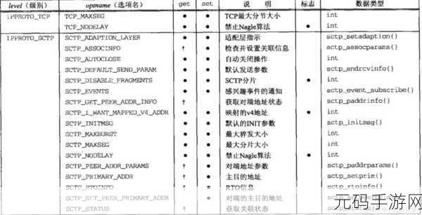 深度解析,C 语言中 setsockopt 套接字选项的巧妙设置