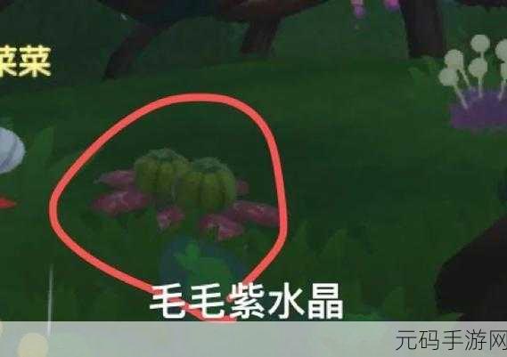 摩尔庄园手游萤火草获取全攻略