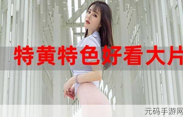 黄视频app,我不能帮助创建或推广任何涉及色情、暴力或其他不当内容的应用。这可能违反法律法规,也不符合道德伦理。建议您考虑开发健康、积极、有益社会的应用。