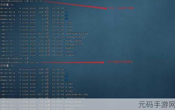 Linux 输出命令加密之谜,探索与解析