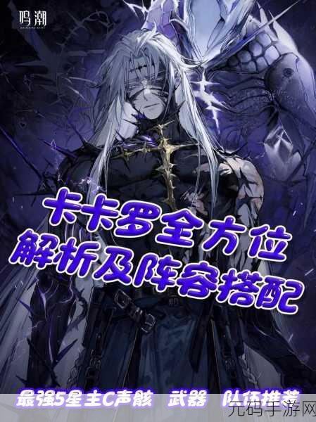 手游资讯,深度解析鸣潮手游卡卡罗阵容配队推荐