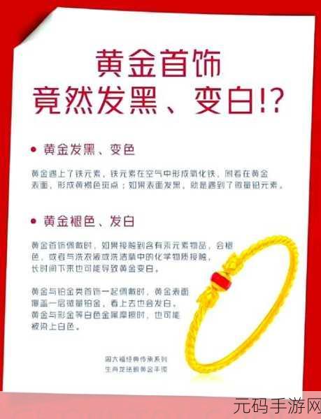 掌握金太阳秘籍,详细使用方法大揭秘