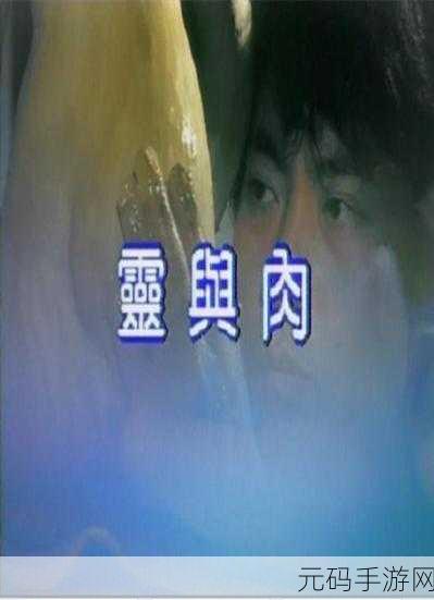 AV天堂网,掌上影音
