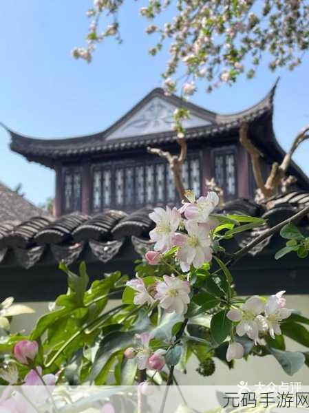 爆炒多汁美人海棠,海棠仙境:花开盛宴