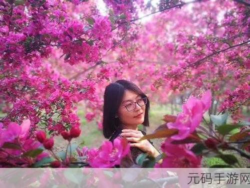 爆炒多汁美人海棠,海棠仙境:花开盛宴