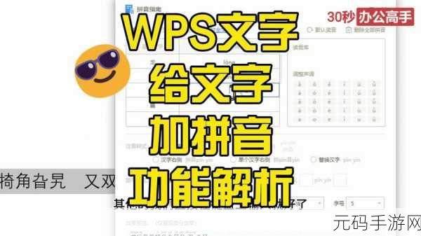轻松学会,WPS 文字制作看图读拼音识字秘籍