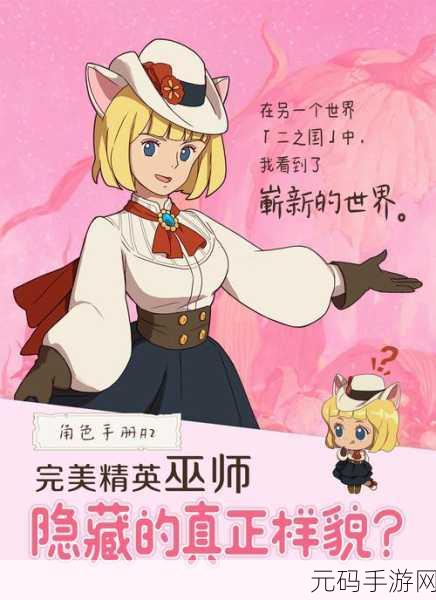 二之国交错世界兑换码输入指南,解锁专属福利的秘籍