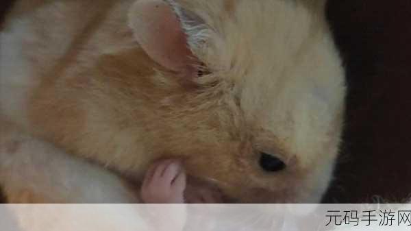 一小孩半夜给女儿吃萝卜，深夜偷玩手机，爸爸竟用这招让熊孩子乖乖睡觉！