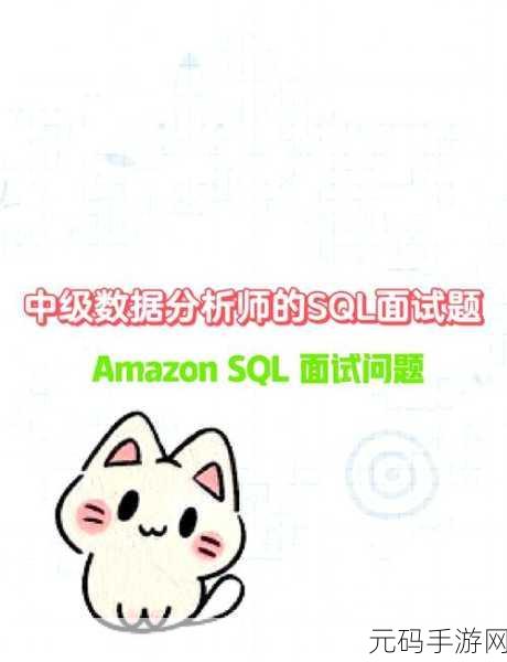 探索 SQL 和数据库常用函数的神秘世界
