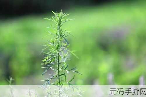 17c一草起，一键成仙