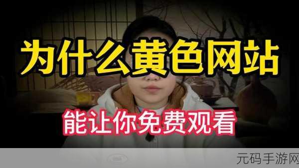黄色网站十八禁成人,限制级内容访问提示