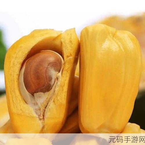 菠萝菠萝蜜在线免费观看，菠萝菠萝蜜：冒险之旅