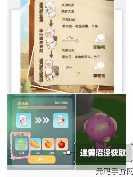 摩尔庄园灵兽喂养全攻略,揭秘灵兽喜爱的美食