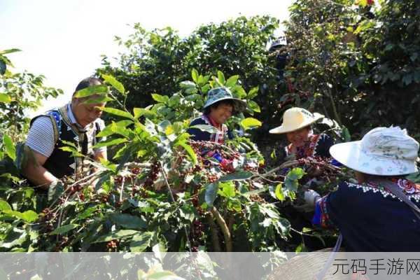 精产三产区区别免费视频,三大产区精品攻略大全