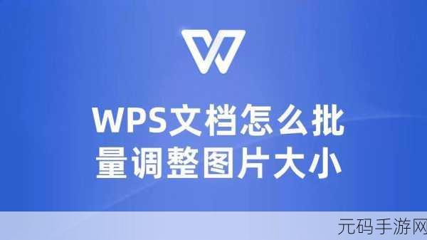 轻松搞定 WPS 中的美元符号输入秘籍