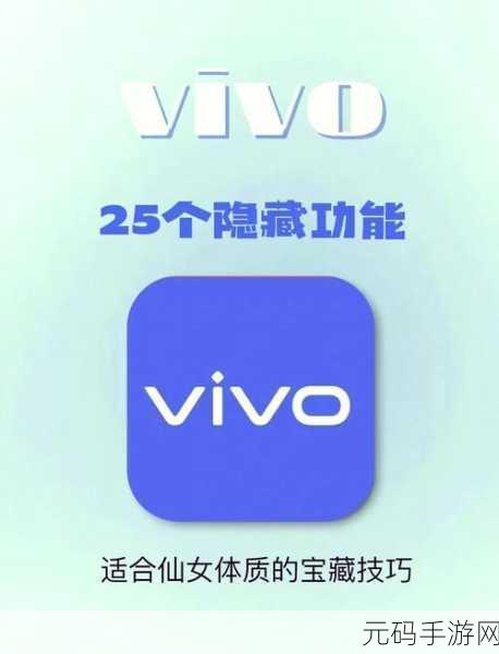 vivo 手机相册隐藏照片的神秘探寻之旅