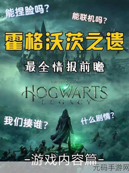 手游资讯,霍格沃茨之遗调查妖精的存在任务深度攻略发布