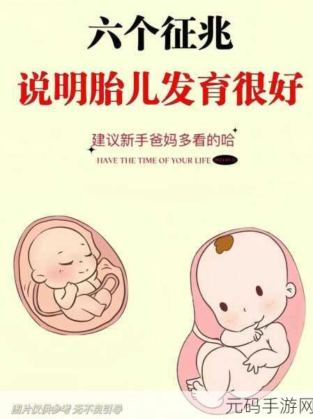 怀孕一肚子的JYH,孕育新生的小精灵